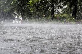 मुसळधार पाऊस पडणार ; हवामान विभाग .