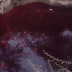 चोरट्यांनी फोडली चक्क पेट्रोलची पाईपलाईन.