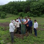 उपमुख्यमंत्री अजित पवार यांच्या वाढदिवसानिमित्त धारूर येथे वृक्षारोपण. 