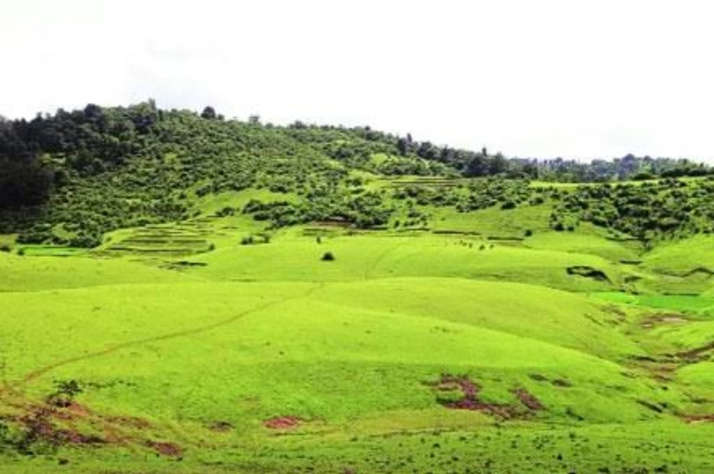 साताऱ्यात जमीन खरेदी घोटाळा उघडकीस. 